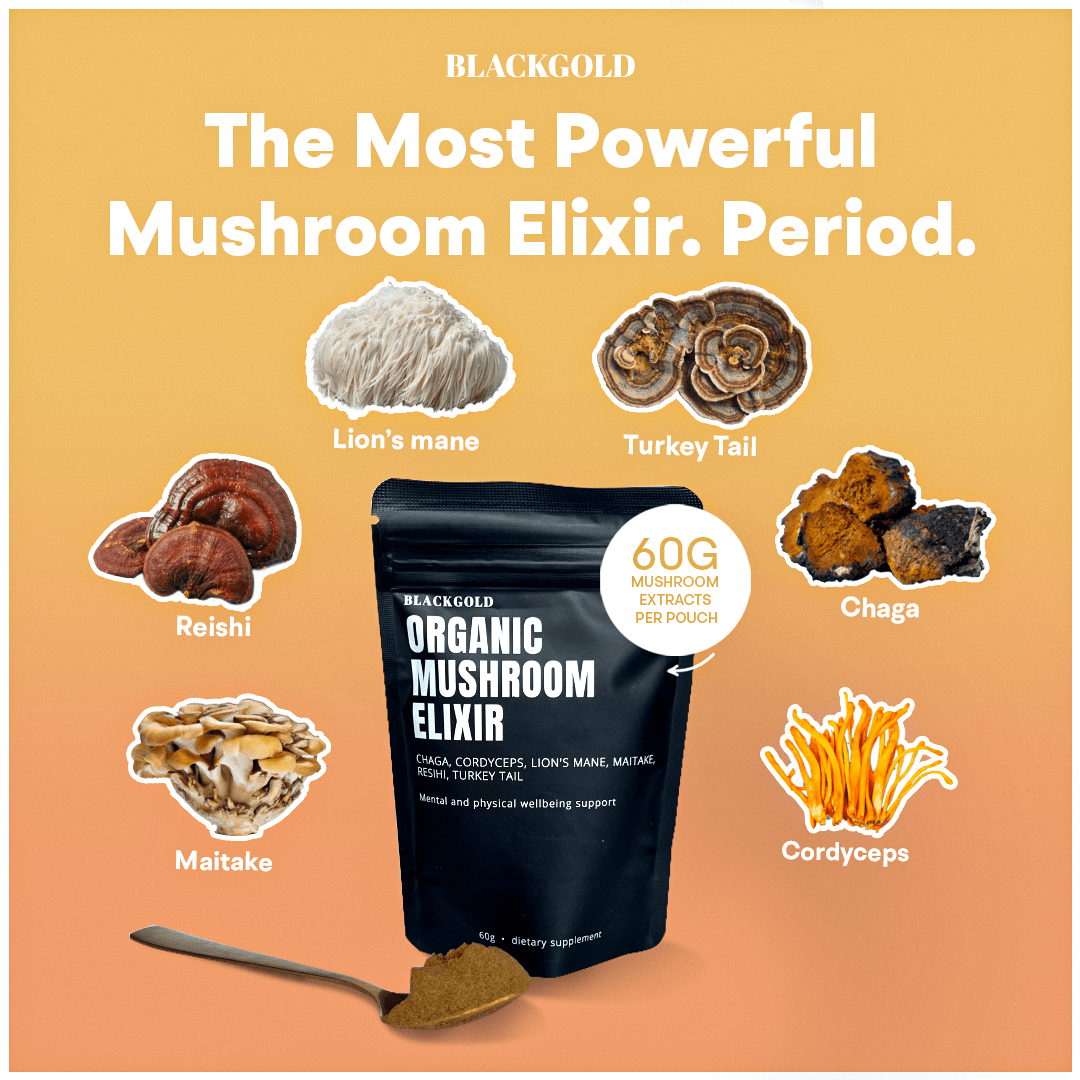 Organic Mushroom Elixir Extract – Black Gold Elixir